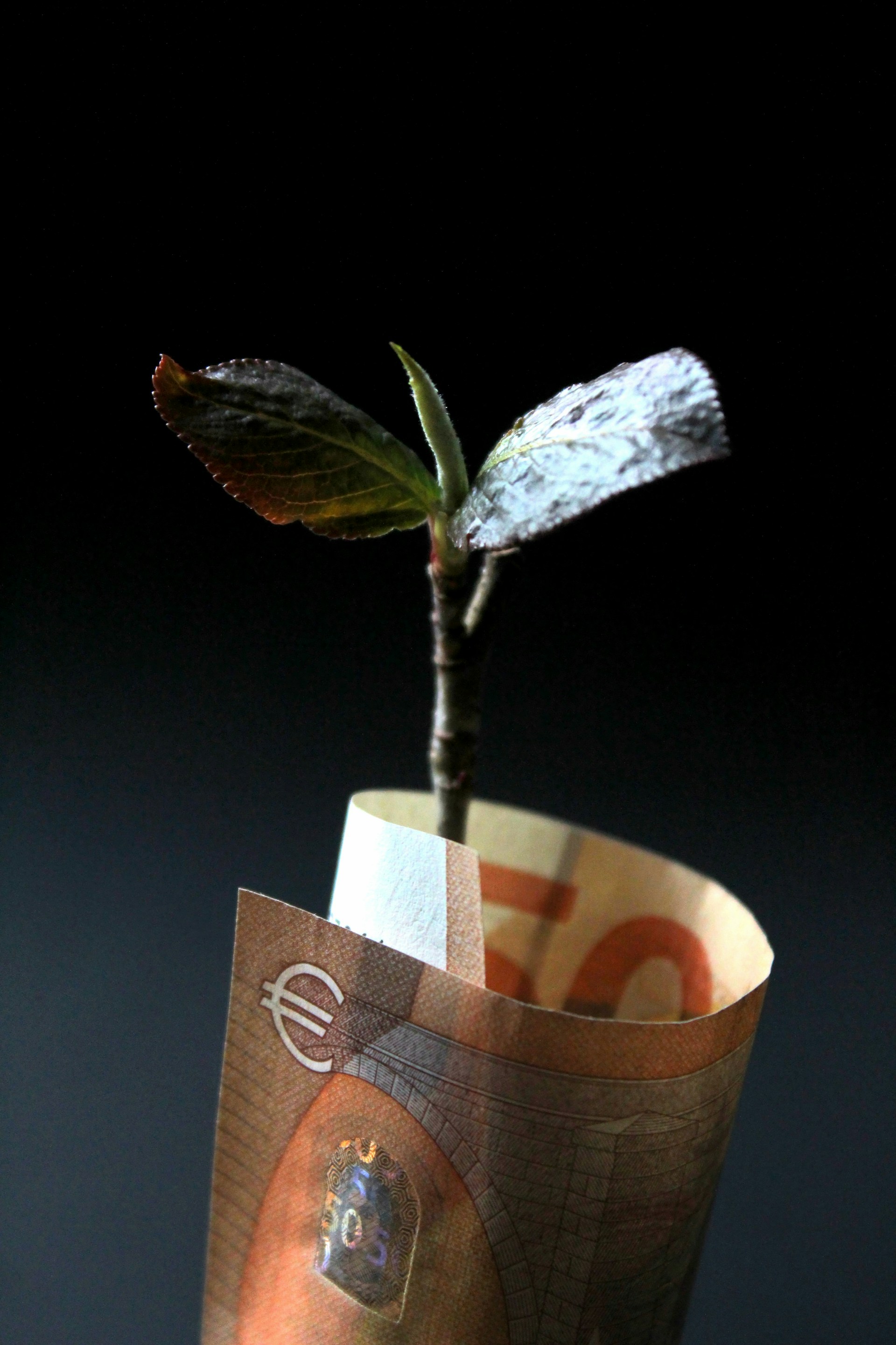 Biotech fundraising and investor meetings